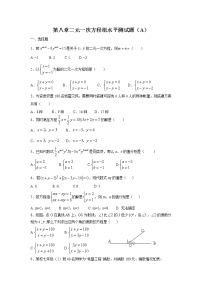 数学七年级下册8.1 二元一次方程组巩固练习