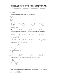 甘肃省金昌市2019-2020学年七年级下学期期中数学试题（word版 含答案）