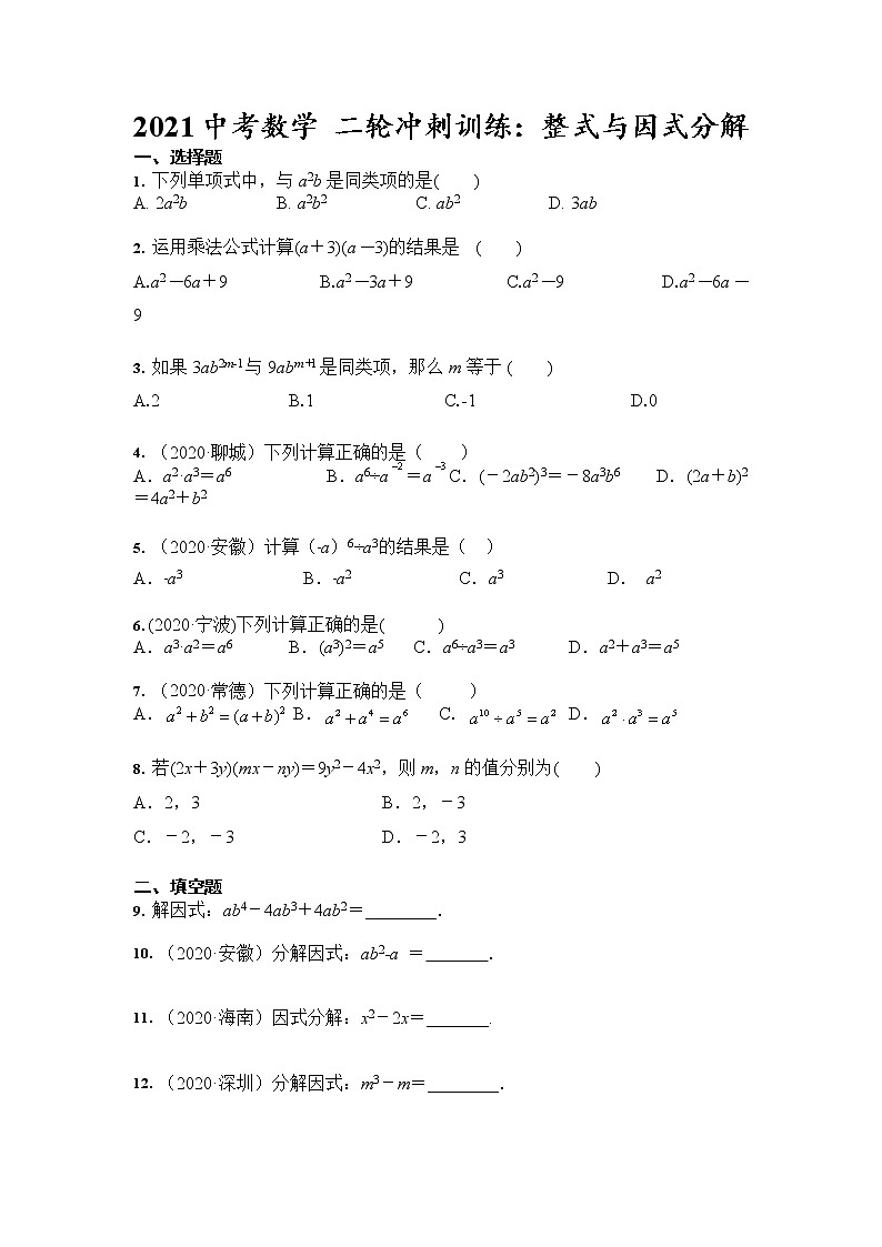 2021年九年级中考数学 二轮冲刺训练：整式与因式分解01