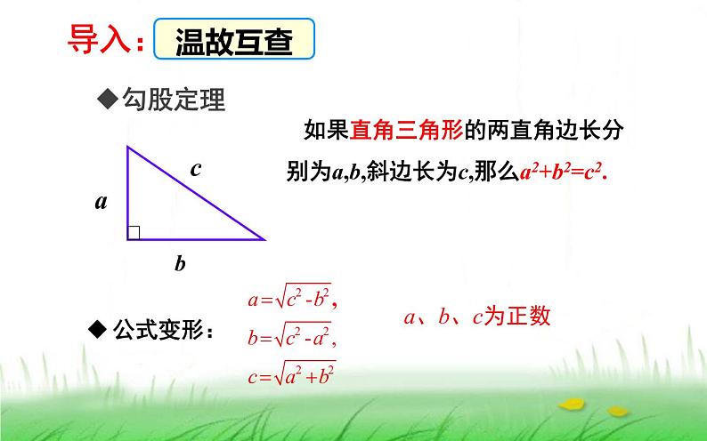 利用勾股定理解决折叠问题 优课一等奖课件04