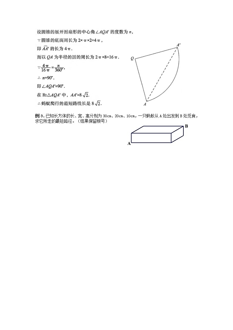 试卷 中考必会几何模型：蚂蚁行程02