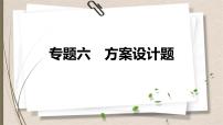 2021年中考数学总复习课件专题6　方案设计题