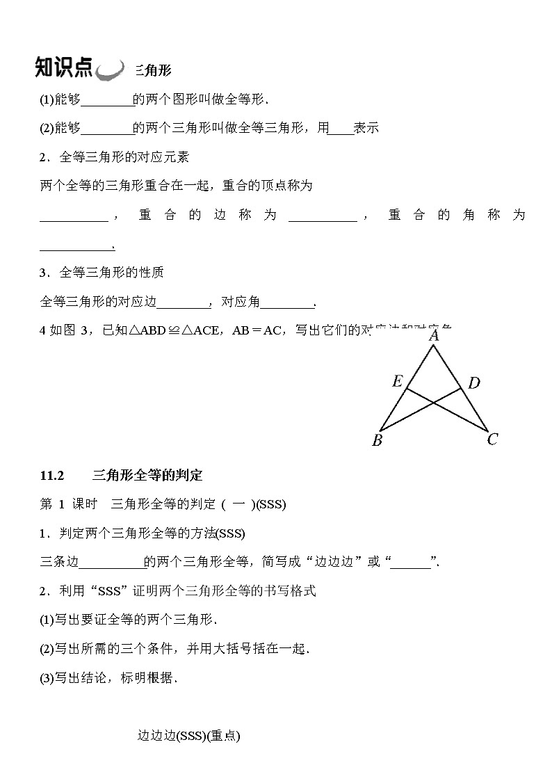北师大版八年级数学下册期中考试复习1  三角形的证明  复习01