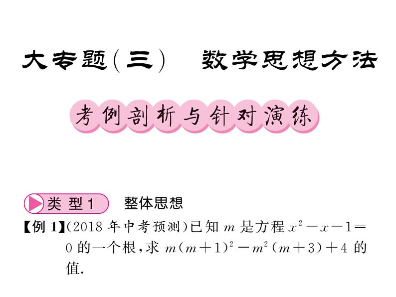 2018届中考数学总复习课件：大专题三（共51张PPT）01