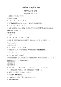 2020-2021学年人教版 七年级数学下册  期中综合复习卷（word版 含答案） (2)