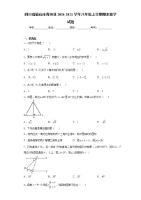 四川省眉山市青神县 2020-2021学年八年级上学期 期末数学试题（含答案）