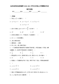 山东省枣庄市薛城区2020-2021学年九年级上学期期末考试数学试题（word版 含答案）