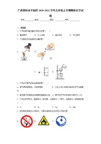 广西贺州市平桂区2020-2021学年九年级上学期期末化学试题（word版 含答案）