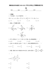 湖南省永州市道县2020-2021学年九年级上学期期末数学试题（word版 含答案）