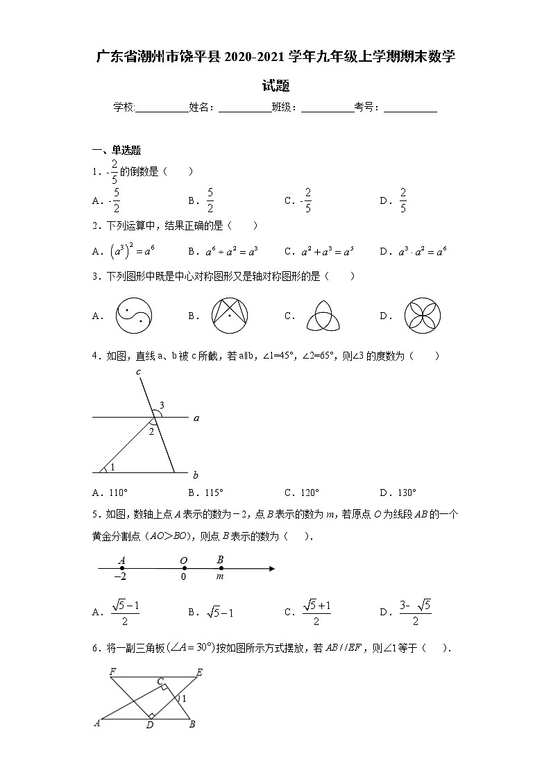 广东省潮州市饶平县2020-2021学年九年级上学期期末数学试题（word版 含答案）01