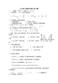 2020-2021学年人教版七年级下册数学期中复习题