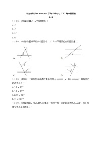 浙江省绍兴市2020-2021学年七年级下学期期中模拟考试数学试题