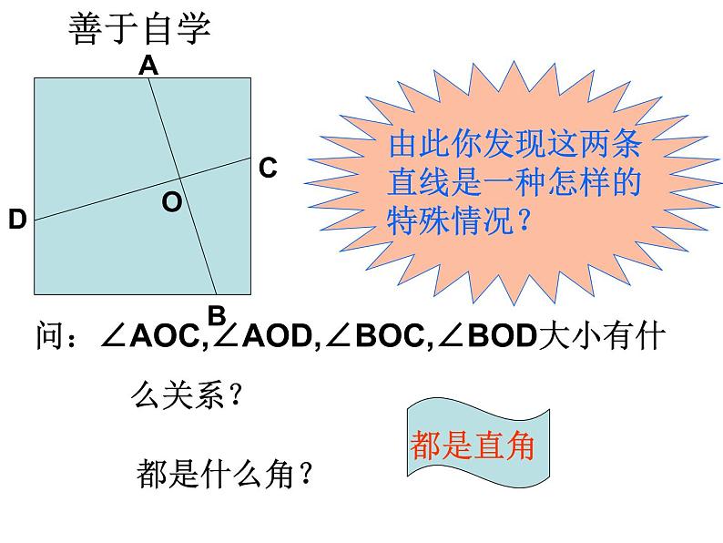 七年级数学上册课件：6.9相交线2第5页