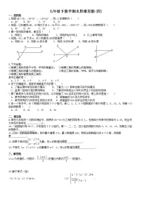 七年级下数学期末思维发散训练四