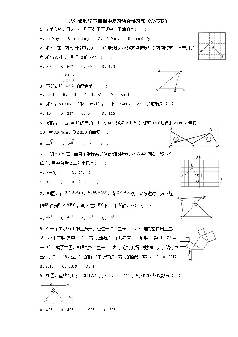 北师大版八年级数学下册期中测试卷(含答案)01