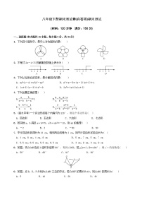 北师大版八年级数学下册期末测试卷及答案（四）