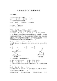 北师大版八年级数学下册期末测试卷及答案（三）