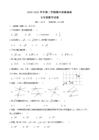 福建省龙岩市2020-2021学年七年级下学期期中考试数学试题（含答案）