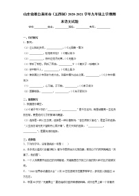 山东省烟台莱州市（五四制）2020-2021学年九年级上学期期末语文试题（word版 含答案）