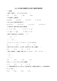 2021年北师大版数学七年级下册期中测试卷二（含答案）