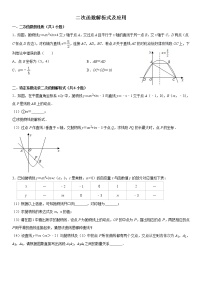 2021甘肃省北师大版九年级数学中考复习专题 二次函数解析式及应用