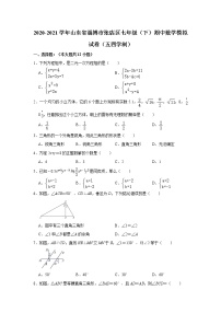 2020-2021学年山东省淄博市张店区七年级下学期期中数学模拟试卷（五四学制）