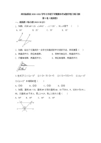 四川省渠县2020-2021学年七年级下学期期中考试数学复习练习题(无答案）