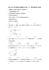 2020-2021学年鲁教版（五四 制）七年级下册期中数学复习试卷（word版有答案）