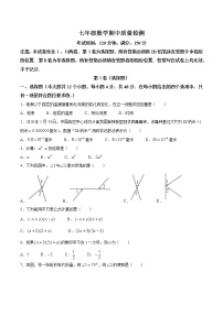 山东省济南市济阳区2020-2021学年七年级下学期期中数学试题（word版有答案）