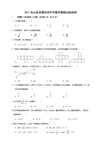 2021年山东省潍坊市中考数学模拟训练试卷（含答案解析）