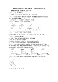 2021年河南省平顶山市宝丰县七年级（下）期中数学试卷