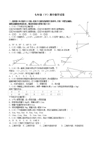 七年级（下）期中数学试卷含答案 (2)