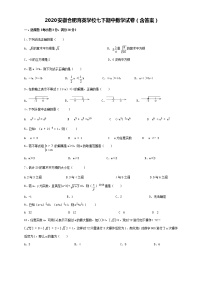 安徽合肥育英学校2019-2020学年下期七年级期中数学试卷（含答案）