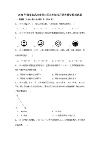 2021年湖北省武汉市硚口区九年级元月调考数学模拟试卷