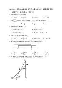 河南省新乡市卫辉市2020-2021学年七年级（下）期中数学试卷word版及答案