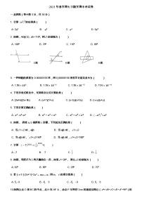 甘肃省张掖市2020-2021学年七年级下册数学期中考试卷