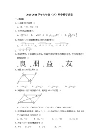 _山东省德州市2020-2021学年七年级下学期数学 期中考试题