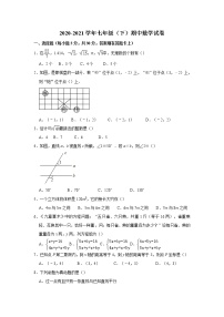 山东德州市2020-2021学年七年级下学期期中考试模拟数学训练题