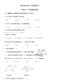 广东省湛江市雷州市2020-2021学年八年级下学期期中模拟考试数学试卷二（word版，无答案）