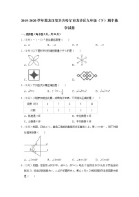 2019-2020学年黑龙江省齐齐哈尔市龙沙区九年级（下）期中数学试卷