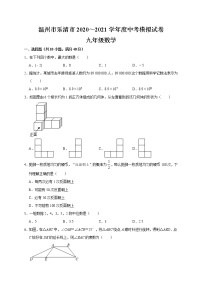 浙江省温州市乐清市2020～2021学年中考数学模拟试卷