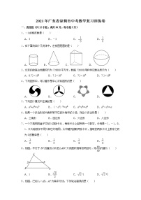 2021年广东省深圳市中考数学复习训练卷    解析版