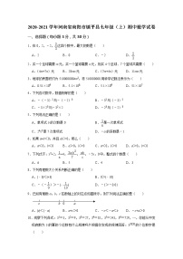 _河南省南阳市镇平县2020-2021学年七年级上学期期中数学试卷（word版 含答案）