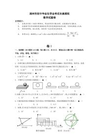 2021年浙江省湖州市中考全真模拟数学试题卷附答案