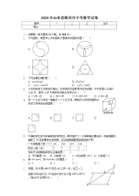 2020年山东省潍坊市中考数学试卷