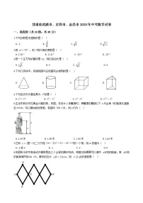 甘肃省武威市、定西市、金昌市2020年中考数学试卷