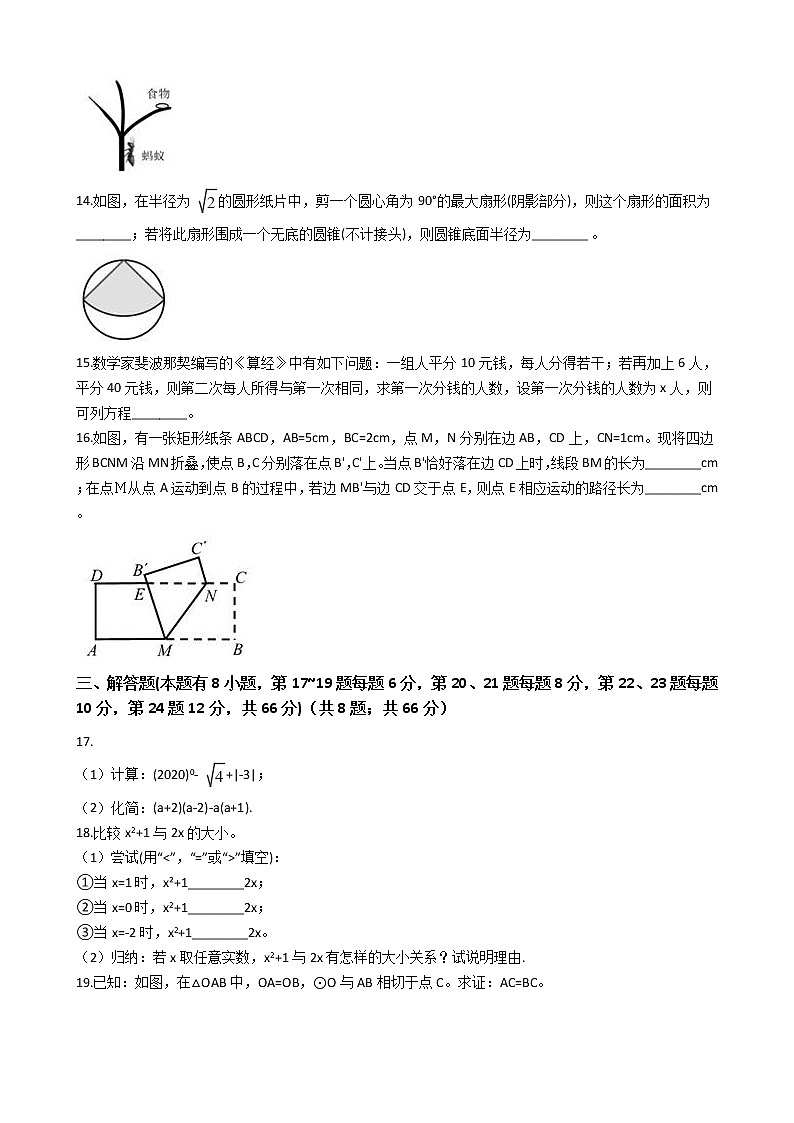 浙江省嘉兴市、舟山市2020年中考数学试卷03