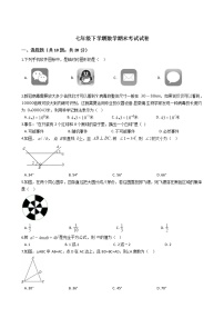 辽宁省朝阳市七年级下学期数学期末考试试卷