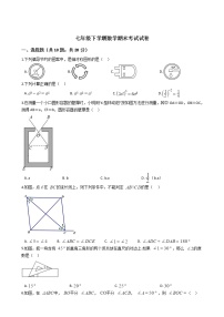 甘肃省酒泉市七年级下学期数学期末考试试卷附答案