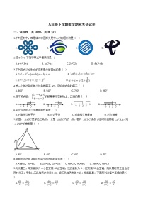 辽宁省阜新市海州区八年级下学期数学期末考试试卷